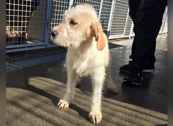 Nami und Noe: vom Flughafen ins schöne Leben