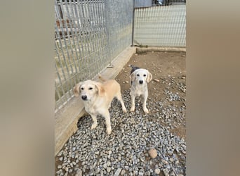 Cameron: bereit für das Abenteuer Leben