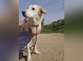 Tesorina: einfach unwiderstehlich