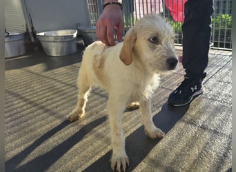 Nami und Noe: vom Flughafen ins schöne Leben