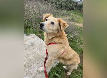 Tom: seine letzte Zeit ist angebrochen