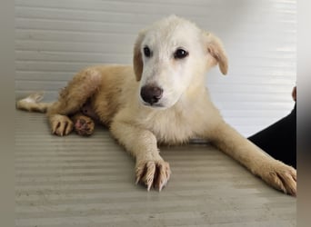 Moira: eine ganz zarte Seele sucht Liebe