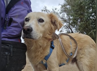 Tom: seine letzte Zeit ist angebrochen