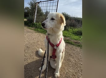 Tesorina: einfach unwiderstehlich