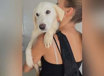 Moira: eine ganz zarte Seele sucht Liebe