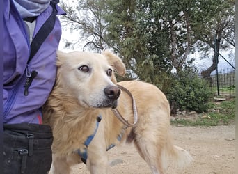 Tom: seine letzte Zeit ist angebrochen