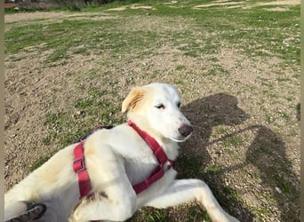 Tesorina: einfach unwiderstehlich