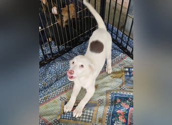 Monia und Mara: zwei Engel mit Plüschohren