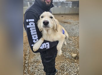 Cameron: bereit für das Abenteuer Leben