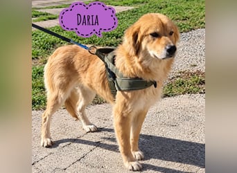 Daria eine feine Lady