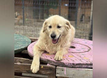 Marta die wundervollste Seele