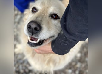 Marta die wundervollste Seele