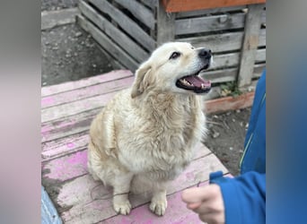 Marta die wundervollste Seele