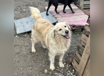 Marta die wundervollste Seele