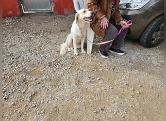 Naya: plötzlich einsam und allein