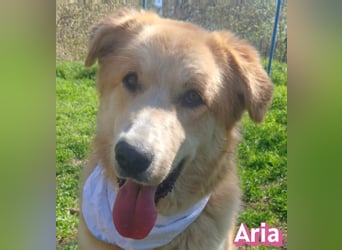 Aria, 12/24, GR – sucht ihr Happy End