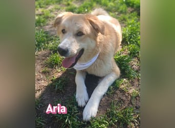 Aria, 12/24, GR – sucht ihr Happy End