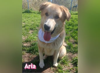 Aria, 12/24, GR – sucht ihr Happy End