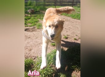 Aria, 12/24, GR – sucht ihr Happy End