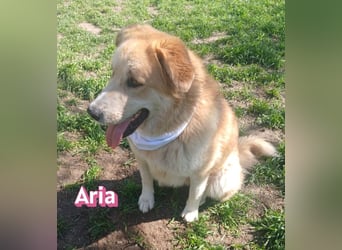 Aria, 12/24, GR – sucht ihr Happy End