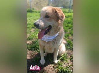 Aria, 12/24, GR – sucht ihr Happy End