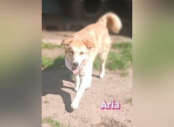 Aria, 12/24, GR – sucht ihr Happy End