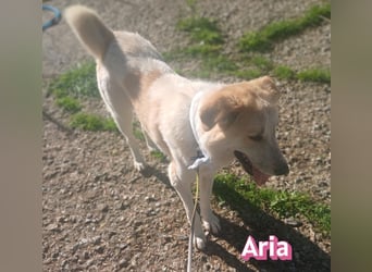 Aria, 12/24, GR – sucht ihr Happy End