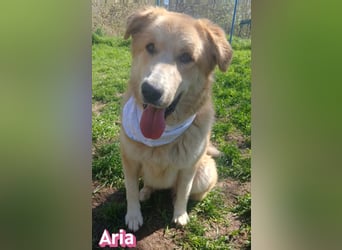 Aria, 12/24, GR – sucht ihr Happy End