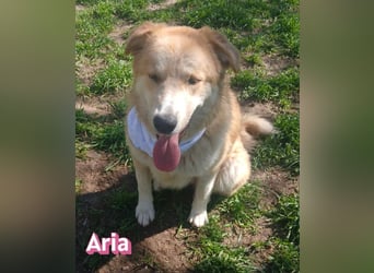 Aria, 12/24, GR – sucht ihr Happy End