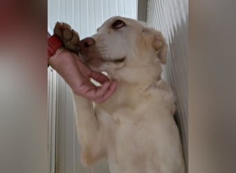 Milo: freut sich auf Besuch in NRW