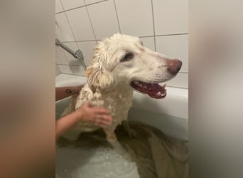 Milo: freut sich auf Besuch in NRW