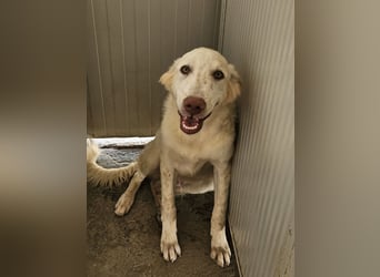 Milo: freut sich auf Besuch in NRW