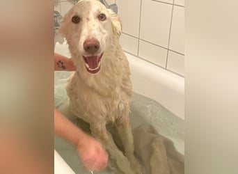 Milo: freut sich auf Besuch in NRW