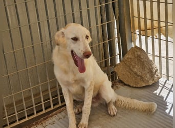 Milo: freut sich auf Besuch in NRW