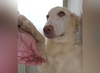 Milo: freut sich auf Besuch in NRW