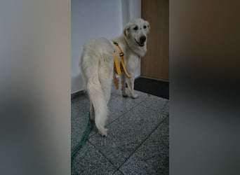 Milo: freut sich auf Besuch in NRW