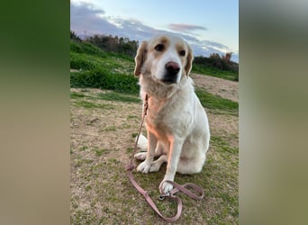 Naya: plötzlich einsam und allein