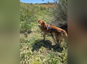 Rufus: Rettung in letzter Sekunde