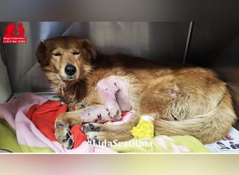 Rufus: Rettung in letzter Sekunde