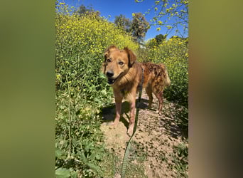 Rufus: Rettung in letzter Sekunde