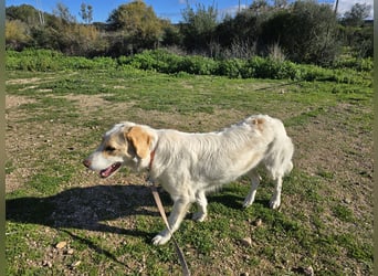 Naya: plötzlich einsam und allein