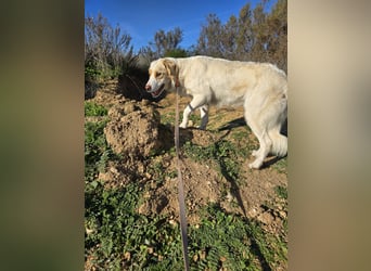 Naya: plötzlich einsam und allein