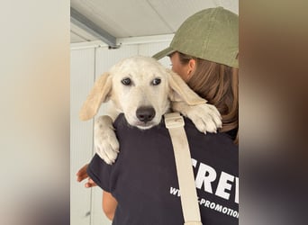Teo: unkompliziert, freundlich, sozial