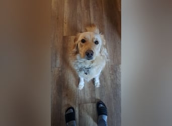 ELLA - die hübsche Maus sucht ein liebevolles neues Zuhause.