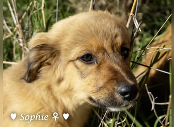 Simba und Sophie suchen ein Zuhause