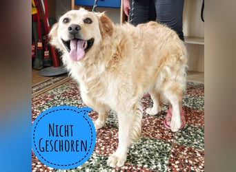 Franko ein Freund fürs Leben