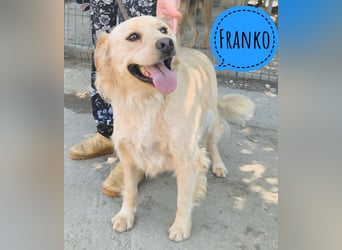 Franko ein Freund fürs Leben