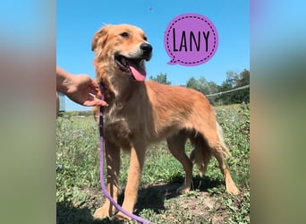 Lany braucht ein Zuhause