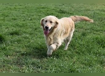 Suzy ein Herz das endlich ankommen möchte