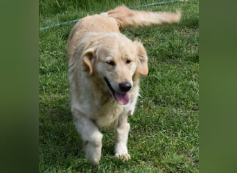 Suzy ein Herz das endlich ankommen möchte